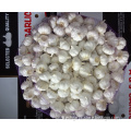 /msite/products/detail/productid/57270883/id/573198.html